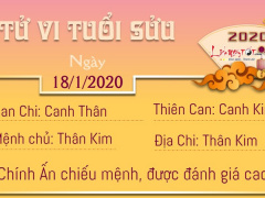 Ảnh bìa bài viết 663149