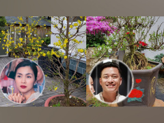 Ảnh bìa bài viết 663357