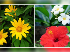 Ảnh bìa bài viết 663389