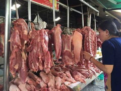 Ảnh bìa bài viết 663417