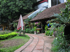 Ảnh bìa bài viết 663521