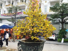 Ảnh bìa bài viết 663552