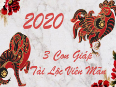 Ảnh bìa bài viết 663819