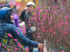 Ảnh bìa bài viết 663811