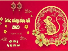 Ảnh bìa bài viết 663897