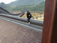 Ảnh bìa bài viết 664302