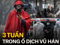 Ảnh bìa bài viết 664634