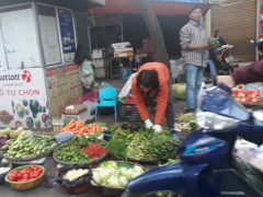 Ảnh bìa bài viết 664818