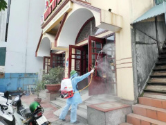 Ảnh bìa bài viết 665073