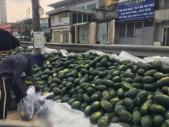 Ảnh bìa bài viết 665263