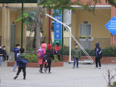 Ảnh bìa bài viết 665266
