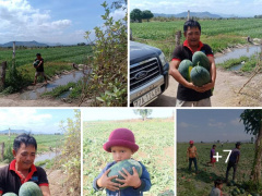 Ảnh bìa bài viết 665189