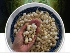 Ảnh bìa bài viết 665373