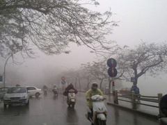 Ảnh bìa bài viết 665447