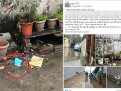 Ảnh bìa bài viết 665496