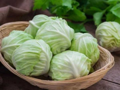 Ảnh bìa bài viết 665445