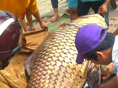 Ảnh bìa bài viết 666054