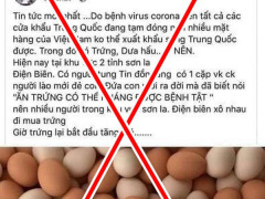 Ảnh bìa bài viết 666042