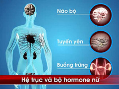 Ảnh bìa bài viết 666154