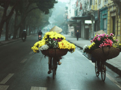 Ảnh bìa bài viết 666238