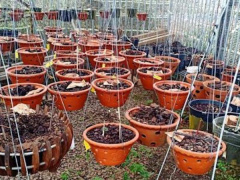 Ảnh bìa bài viết 666457