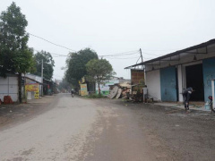 Ảnh bìa bài viết 666746