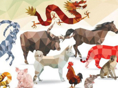 Ảnh bìa bài viết 666829