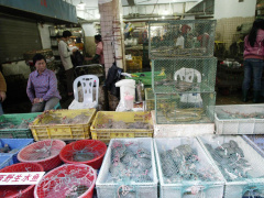 Ảnh bìa bài viết 666907