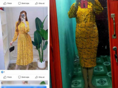 Ảnh bìa bài viết 667064