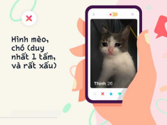 Ảnh bìa bài viết 667333