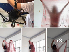 Ảnh bìa bài viết 667293