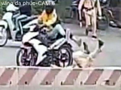 Ảnh bìa bài viết 667410