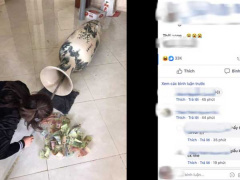 Ảnh bìa bài viết 667473