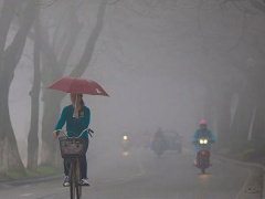 Ảnh bìa bài viết 667424