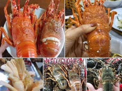 Ảnh bìa bài viết 667601