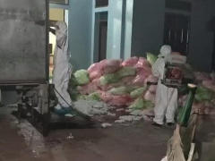 Ảnh bìa bài viết 667665