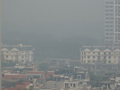 Ảnh bìa bài viết 667756