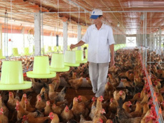 Ảnh bìa bài viết 668319