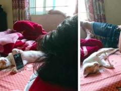 Ảnh bìa bài viết 668232