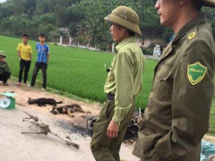 Ảnh bìa bài viết 668727