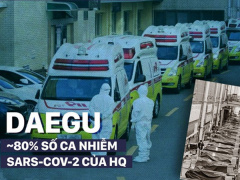 Ảnh bìa bài viết 668820