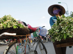 Ảnh bìa bài viết 668823