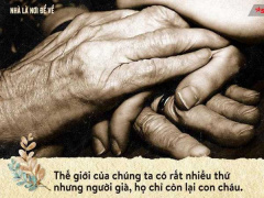 Ảnh bìa bài viết 668989