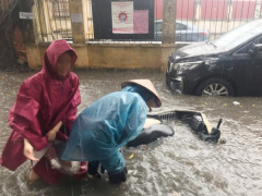 Ảnh bìa bài viết 669394