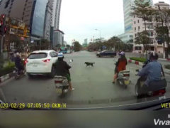 Ảnh bìa bài viết 669396