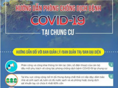 Ảnh bìa bài viết 670754