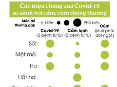 Ảnh bìa bài viết 670887