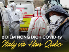 Ảnh bìa bài viết 671004