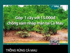 Ảnh bìa bài viết 671522