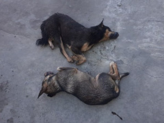 Ảnh bìa bài viết 671658